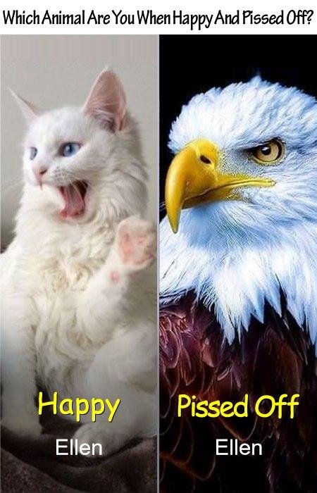 Ellen Sortman's album, Timeline Photos