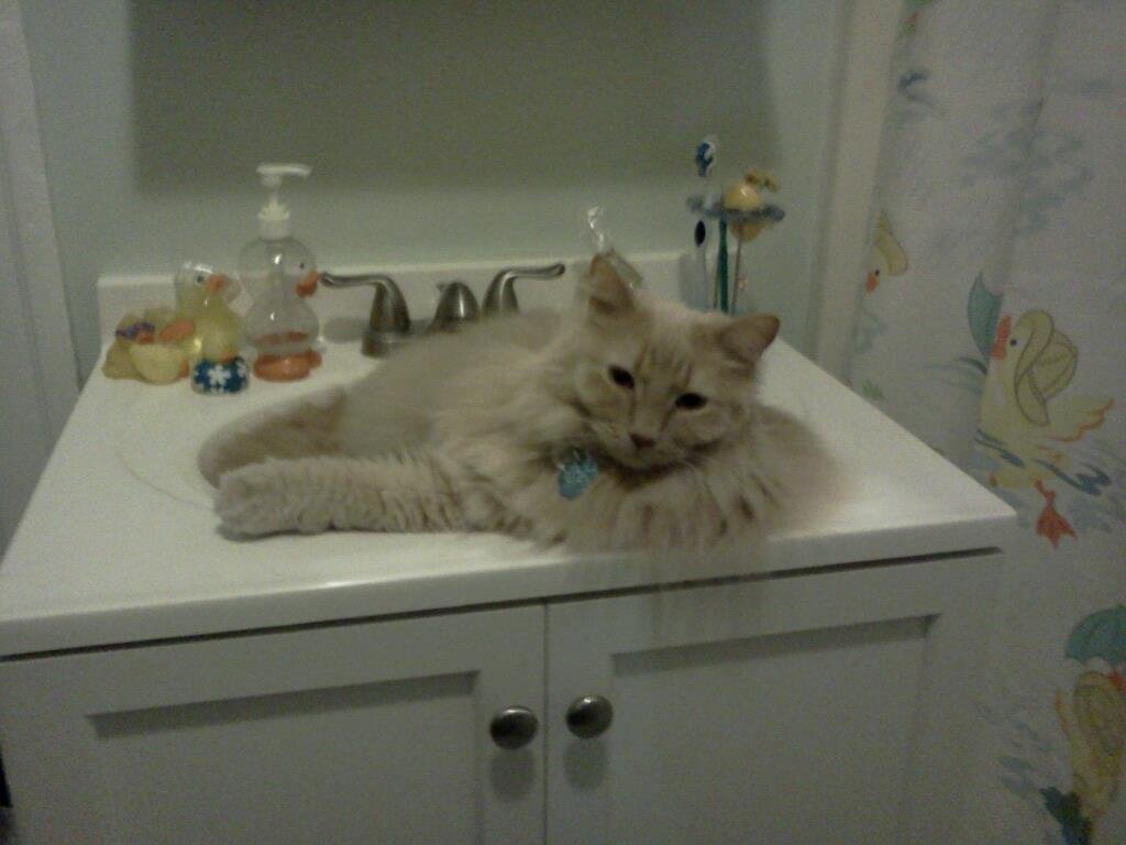 Chunky is adjusting to his new home.