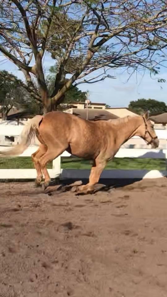 She loves this weather -airborne!