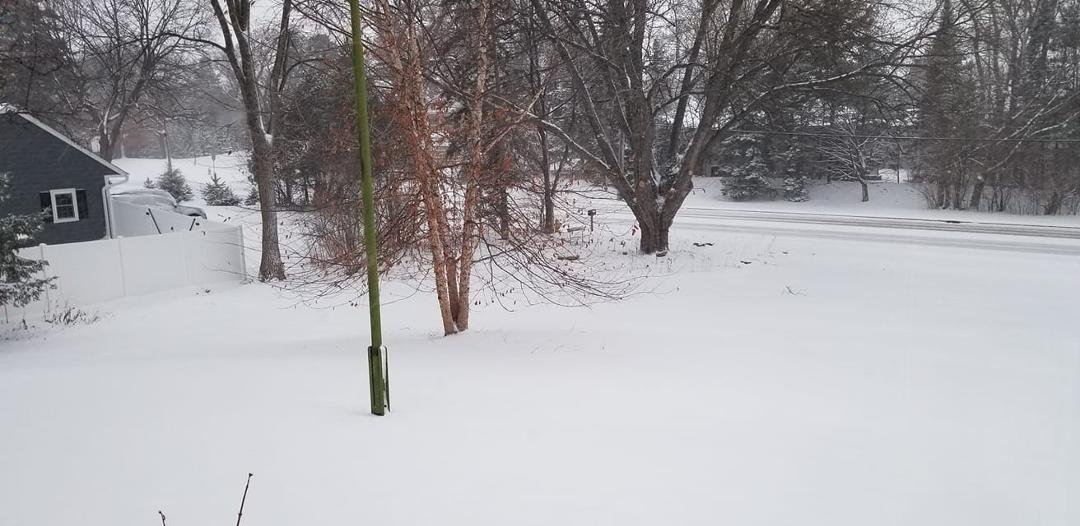 Yesterday this was all green grass. Oh well!!