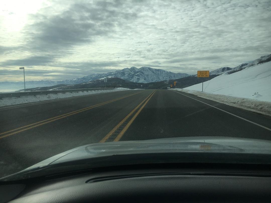 Tim Nee's album, Mobile Uploads