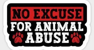 NAWS Humane Society of Illinois
🚨HELP SAVE HARLOFF: VICTIM OF ANIMAL ABUSE.
🚨Harloff has a broken skull, a bullet in his colon, and a fractured jaw.
🚨Please visit the link below to read Harloff's full story.
NAWS under