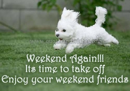 Jo Applegate's album, Timeline Photos