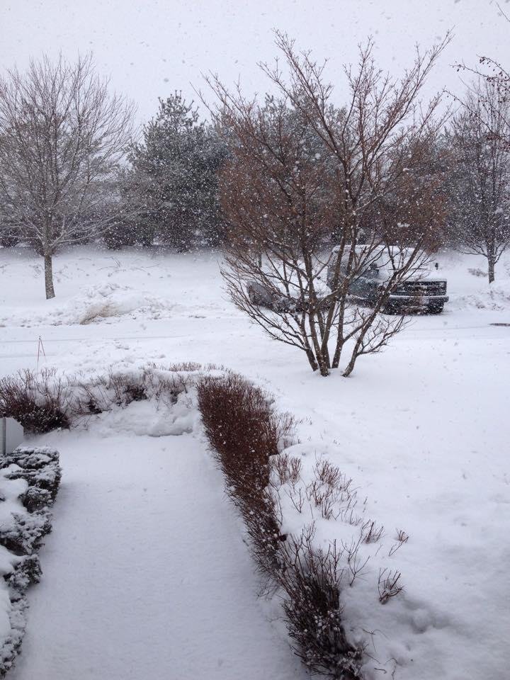 It's really coming down here, Port Jefferson Station, New York