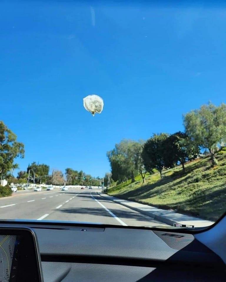 Spy balloon?
Nope... just bird poop
