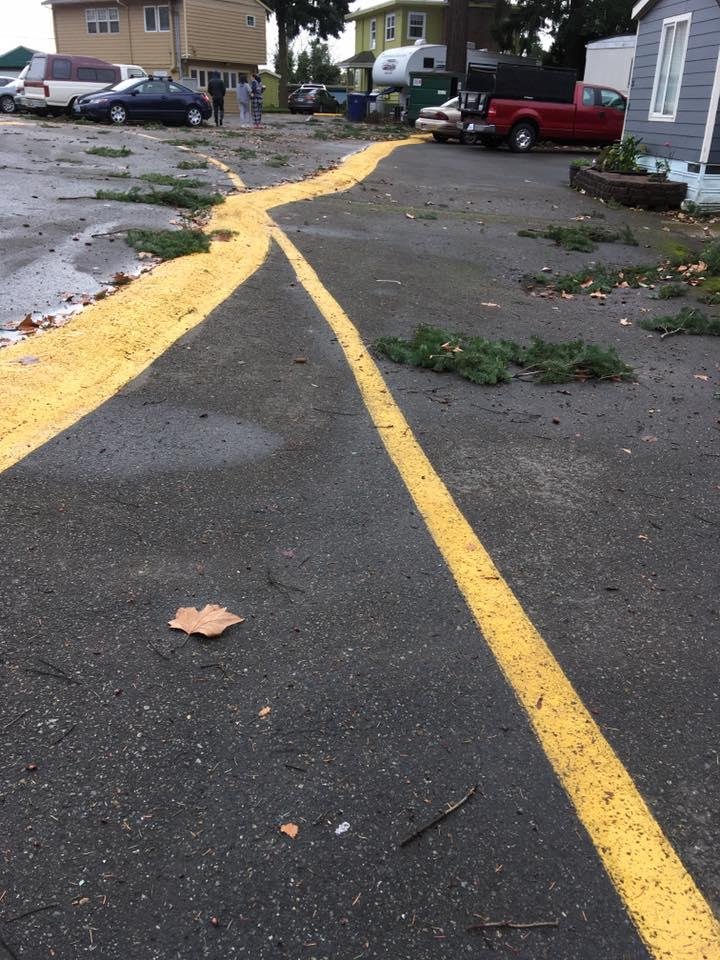 Close up of wind debris in north end of the park.