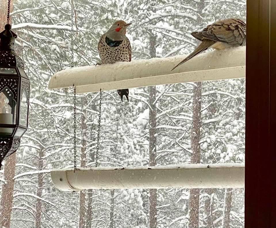 Flicker! ♥️