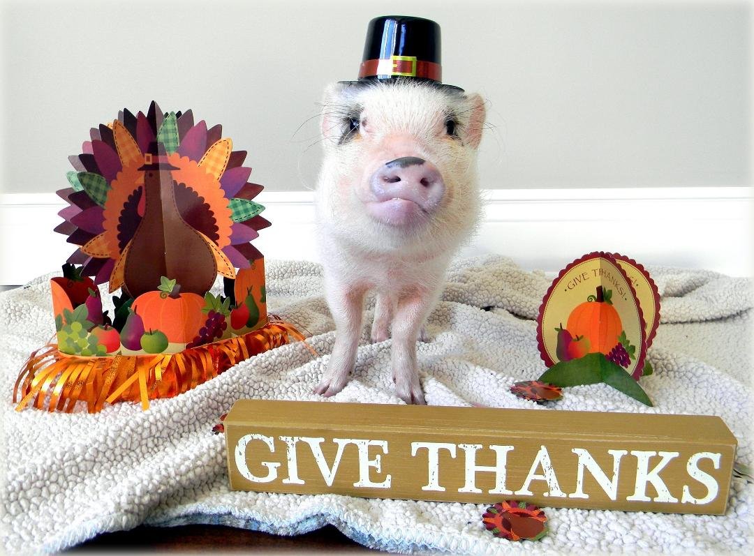 Happy Thanksgiving!!!! <3<3