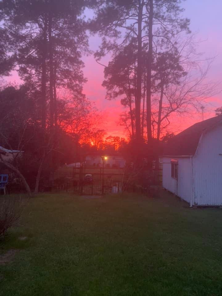 Brenda Spicer's album, Mobile Uploads