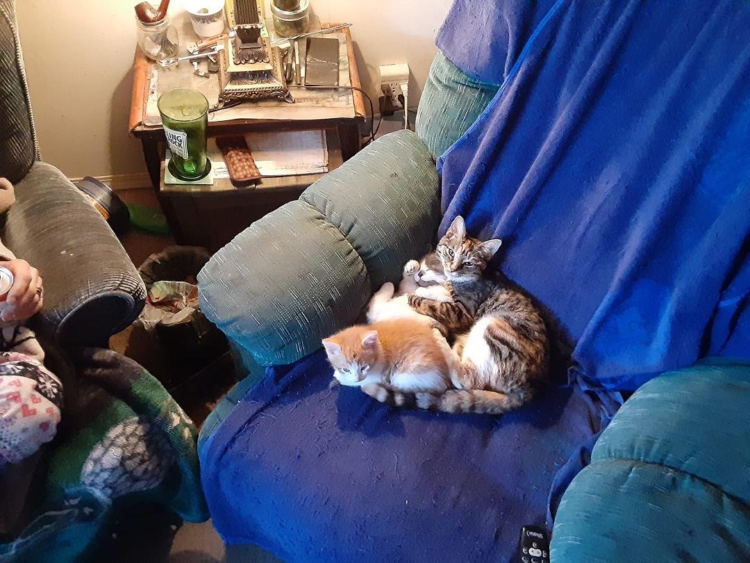 Now there sleeping in 20 seconds