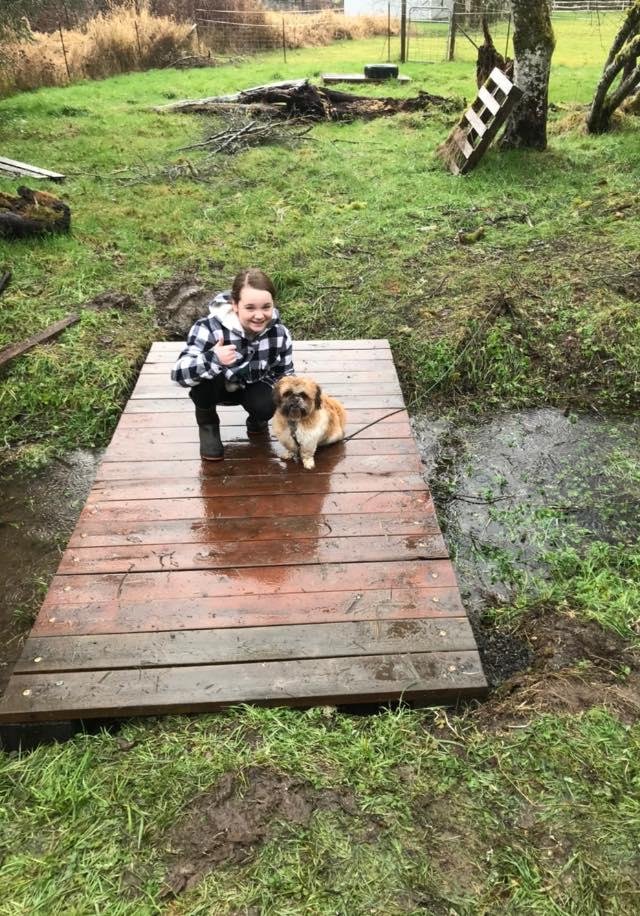 Lindsey Wright's album, Mobile Uploads