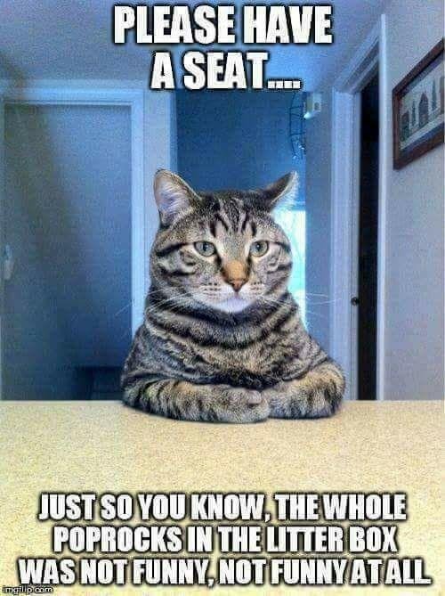 Darlene Shea's album, Timeline Photos