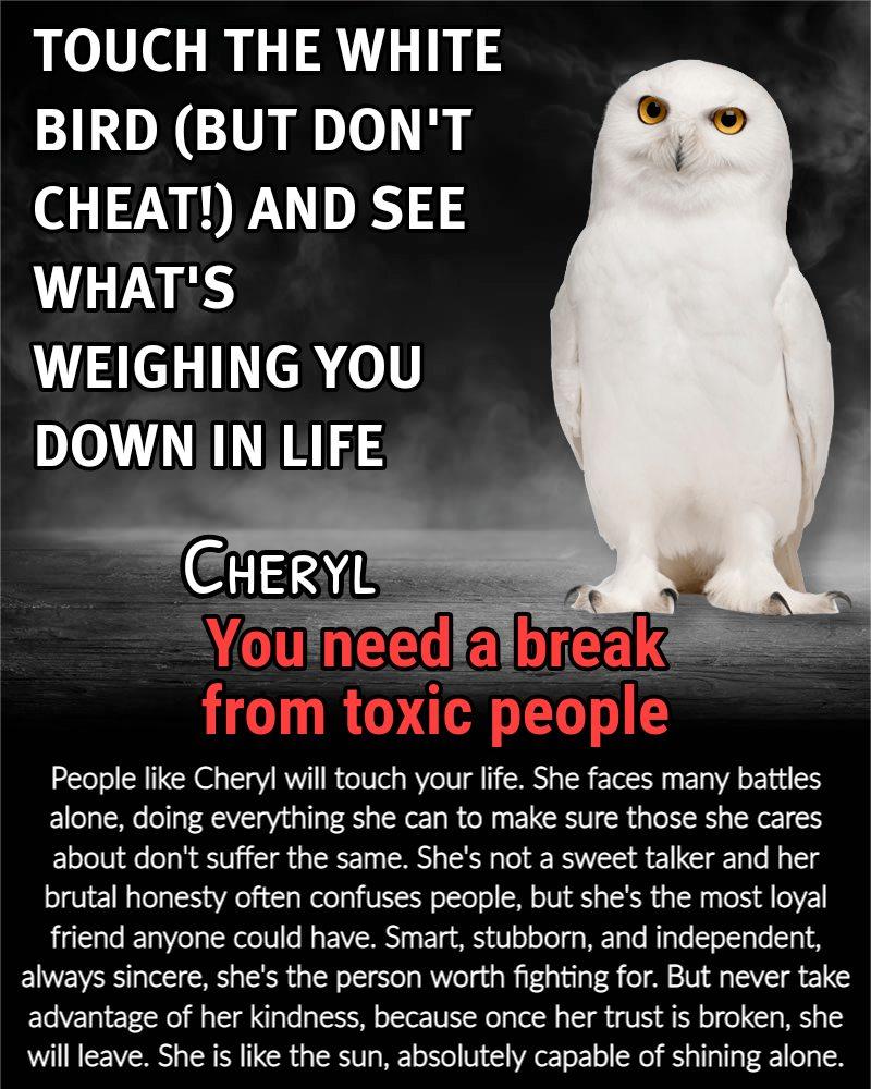Cheryl Gersch's album, Timeline photos