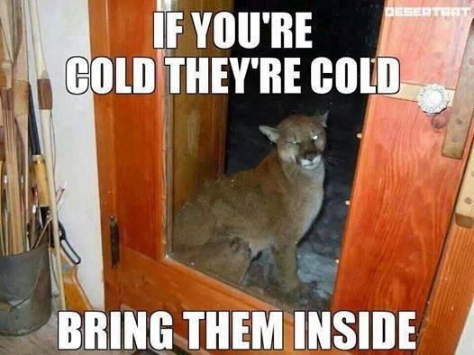 brian james' album, Timeline Photos