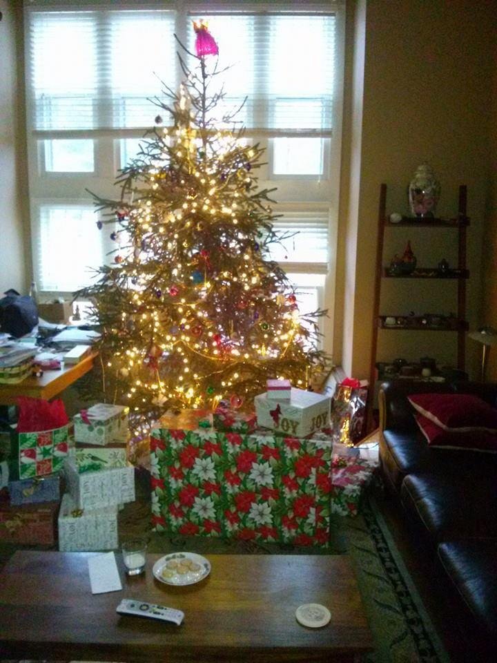 Merry Christmas!
Heard a clatter. Santa visited! Grabbed a snack and flew off.