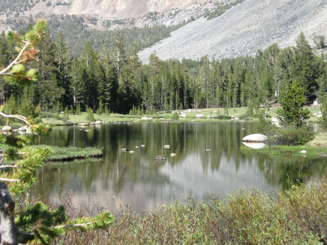 Near Tioga Pass Ca