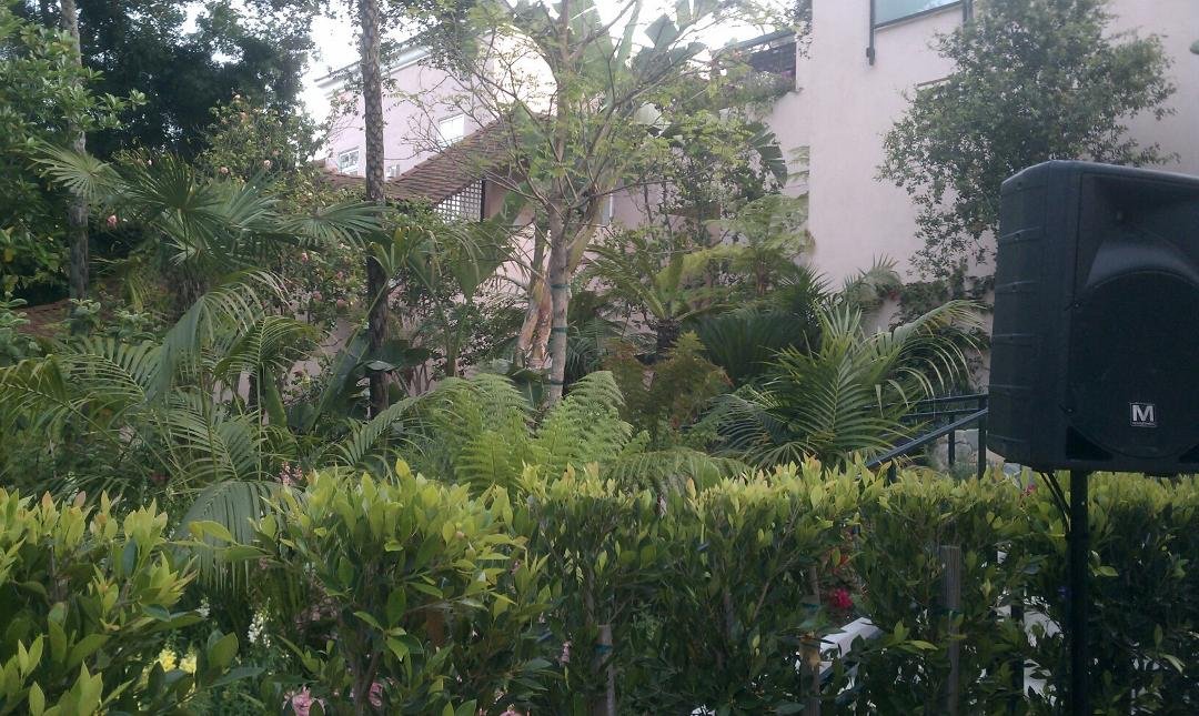 At the Hotel Bel Air in lala land.
Bel Air, California