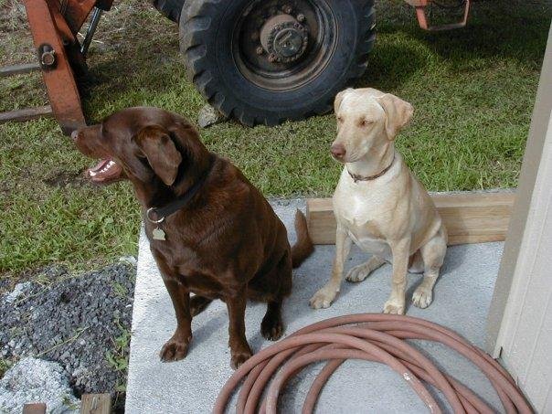 Duke and Sandy, Guess who is who