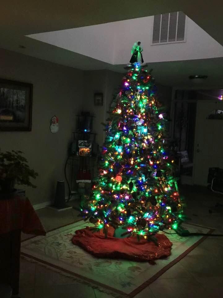 Jeanette Collinsworth's album, Timeline Photos