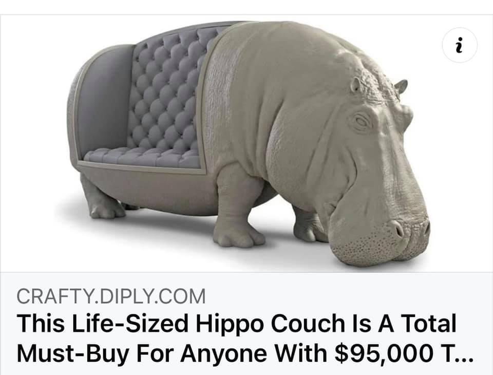 Doesn’t look very comfortable, but sure looks fun!!😊♥️🦛