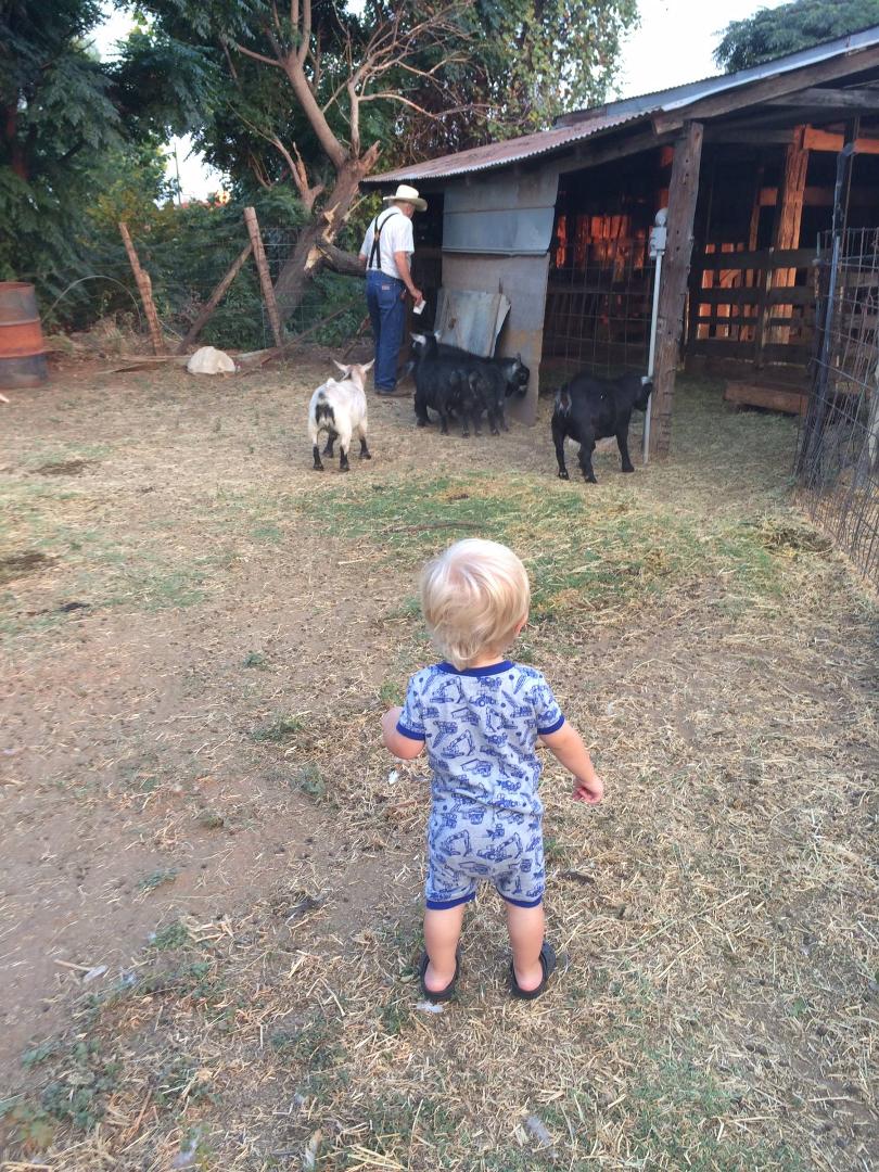 Helping grandpa feed