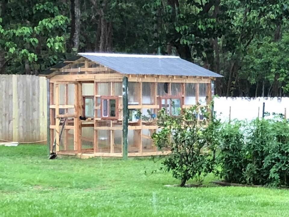 My beautiful new greenhouse built by Sutherland and Sutherland....son and father😊👍