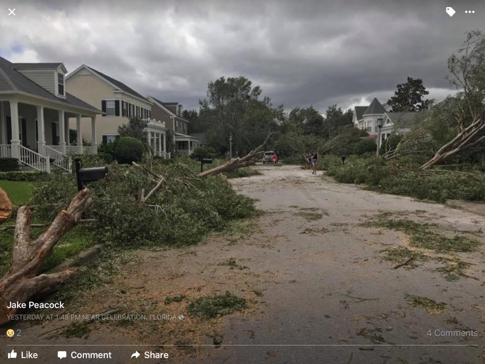 This is one of the streets near us in Celebration, FL. We survived the storm, real scary, but no injuries here! Everyone pitched in for clean up! Town was awesome helping! We r blessed and thank you all for your concerns! R