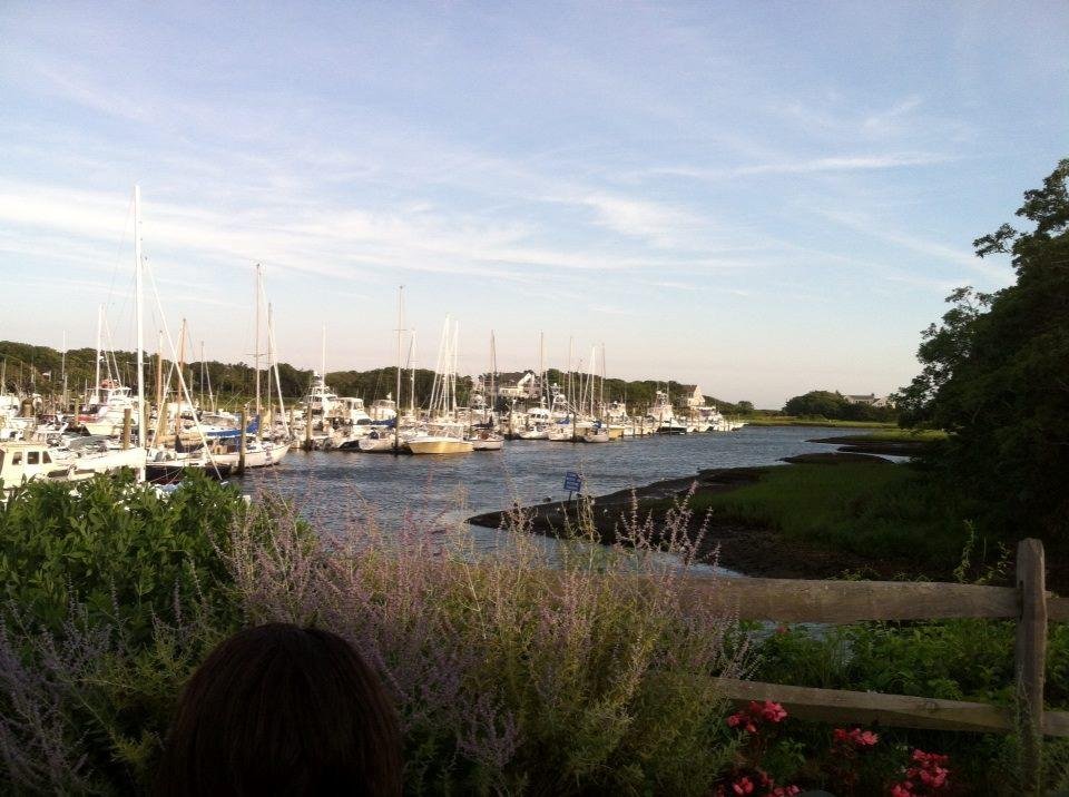 Beautiful scenery on the Cape...