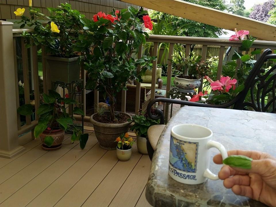Morning java.