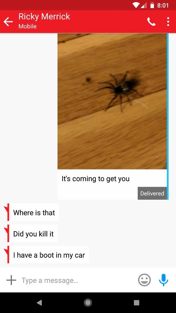 Penney to Ricky Merrick, he loves spiders