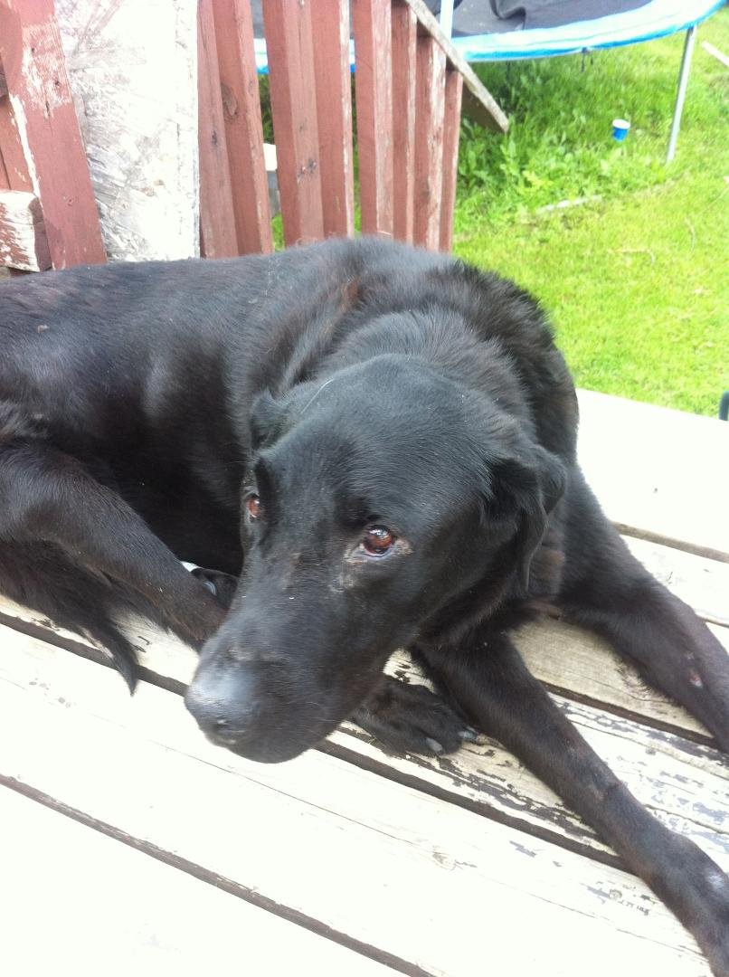 Goodbye buddy. We'll all miss you.