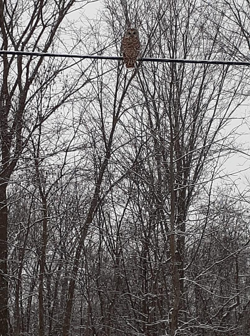 I’m asking those who love the outdoors to post a picture on your page. A picture that YOU took. Just the picture, no description. The goal is to regain peace and harmony without negativity. Please copy the text, put your pi