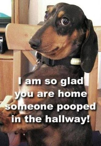 Steve Armstrong's album, Timeline Photos