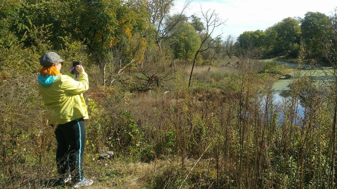 From our walk this morning