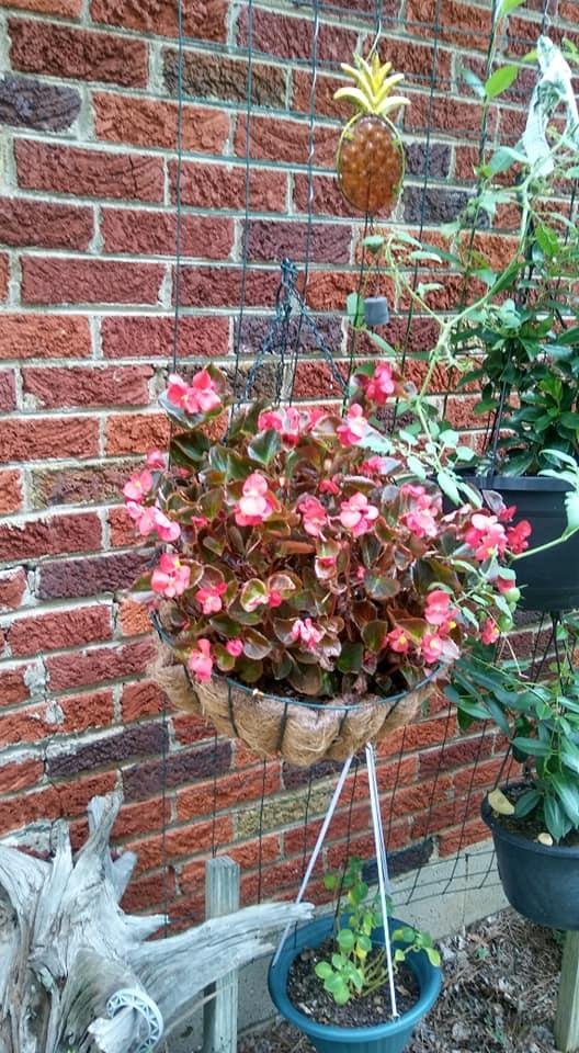 Angie Proctor's album, Timeline Photos