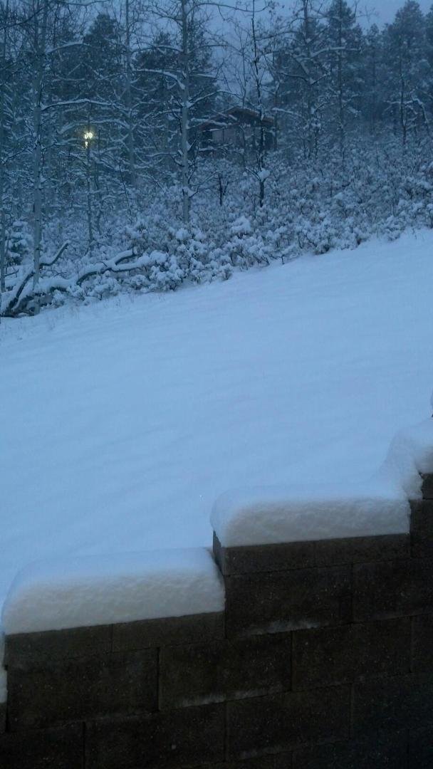 Snow at our cabin in San Isabel. We have at least 6" and still snowing!!