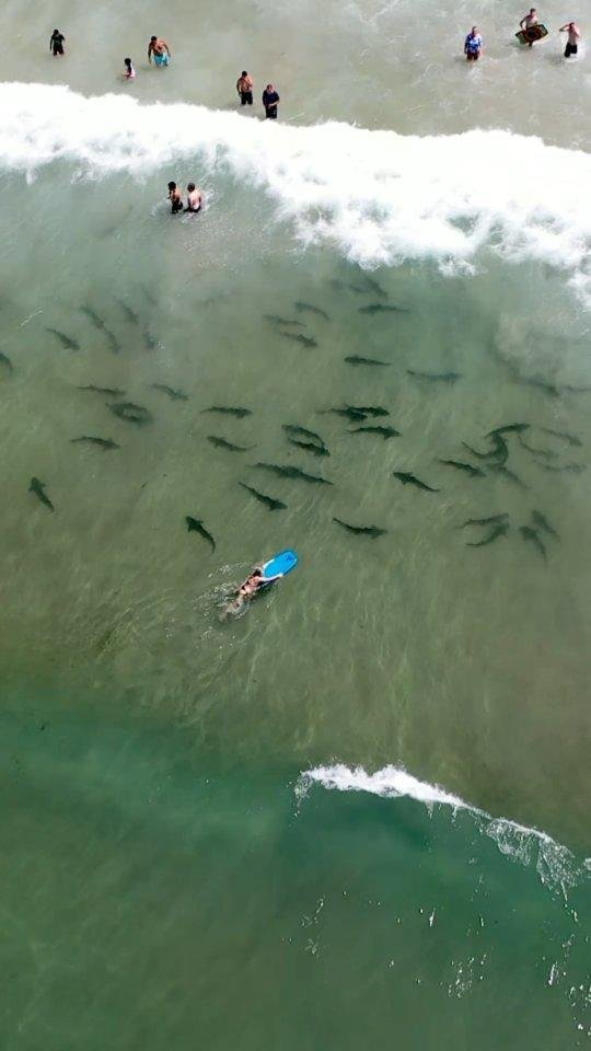 Florida be like :)