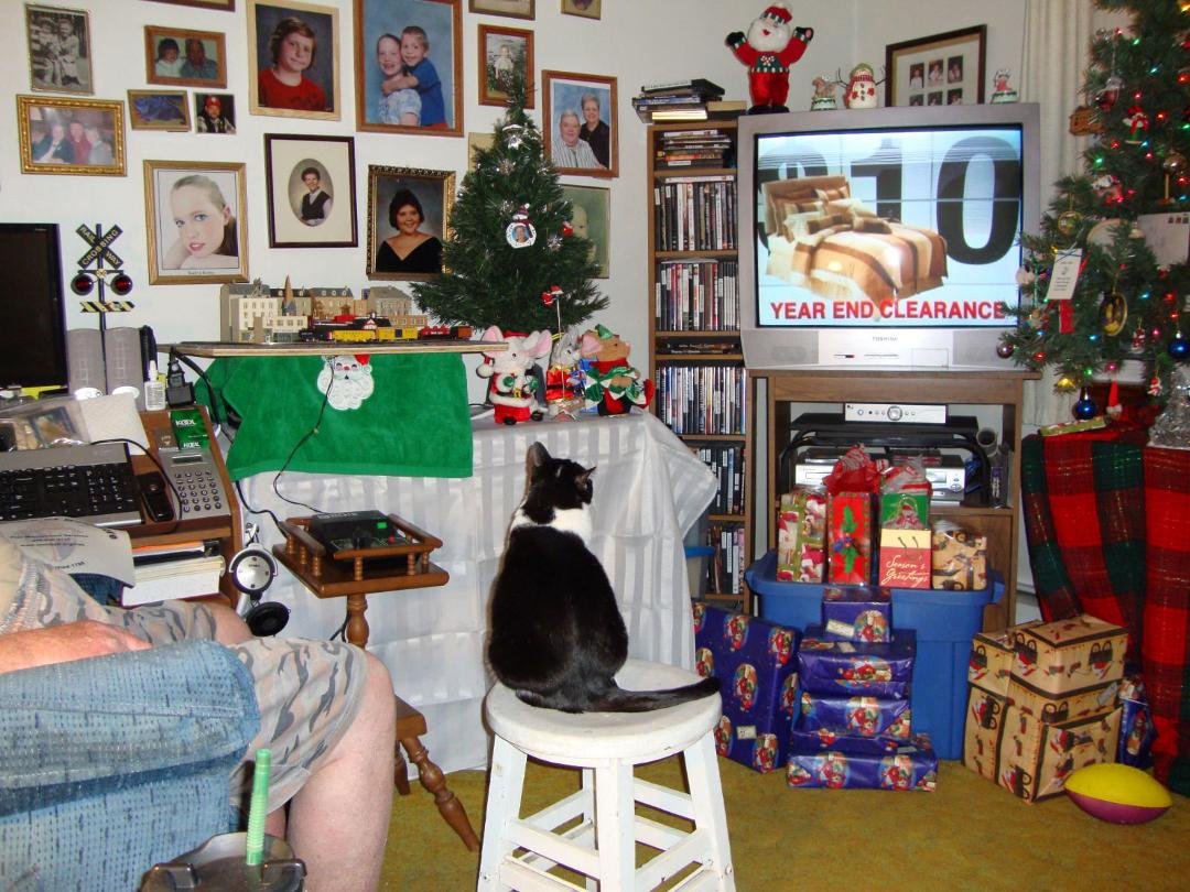 Let's see how fast these ''N''scale trains go,Poppy!!:)