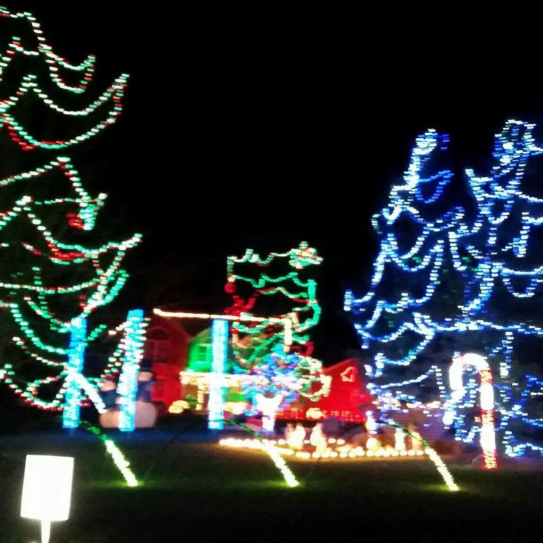 Christmas displays at Sharon Woods!