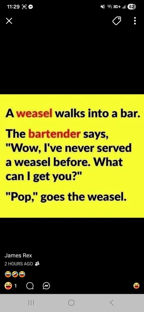 Weasel