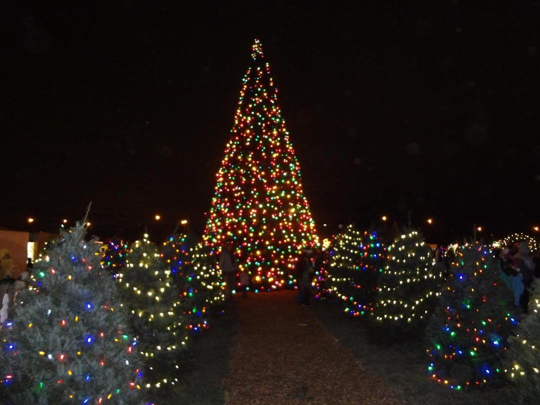 Like my tree pretty cool uh lol