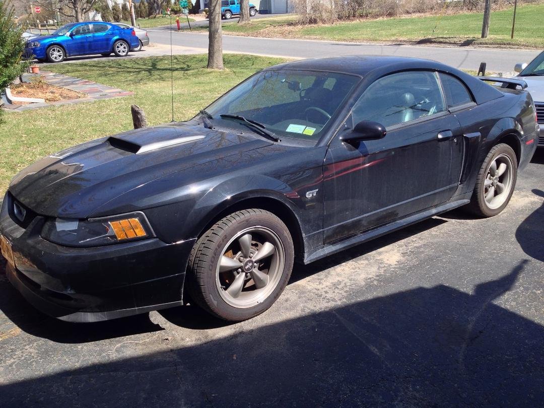the new toy