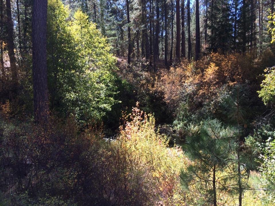 Ron Jackson's album, Mobile Uploads