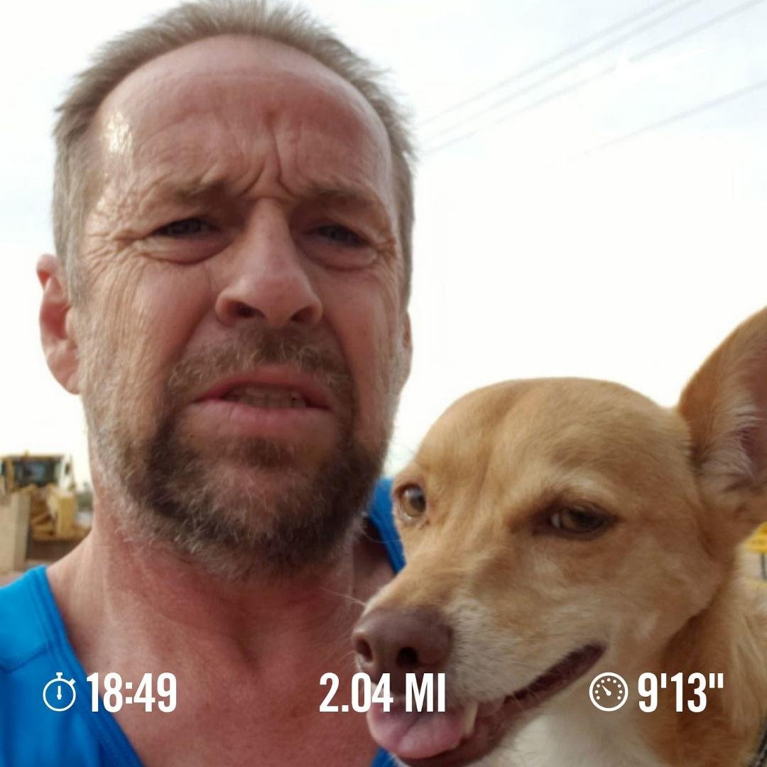 2 mile run with Goldie 9:13 a mile. This little dog can run