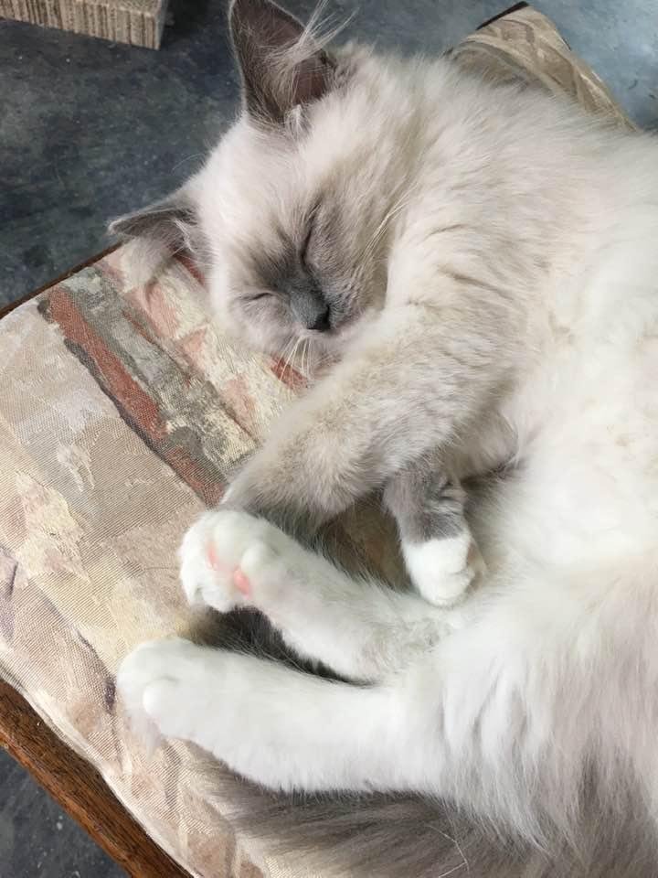 Poppy doing what she does best!!