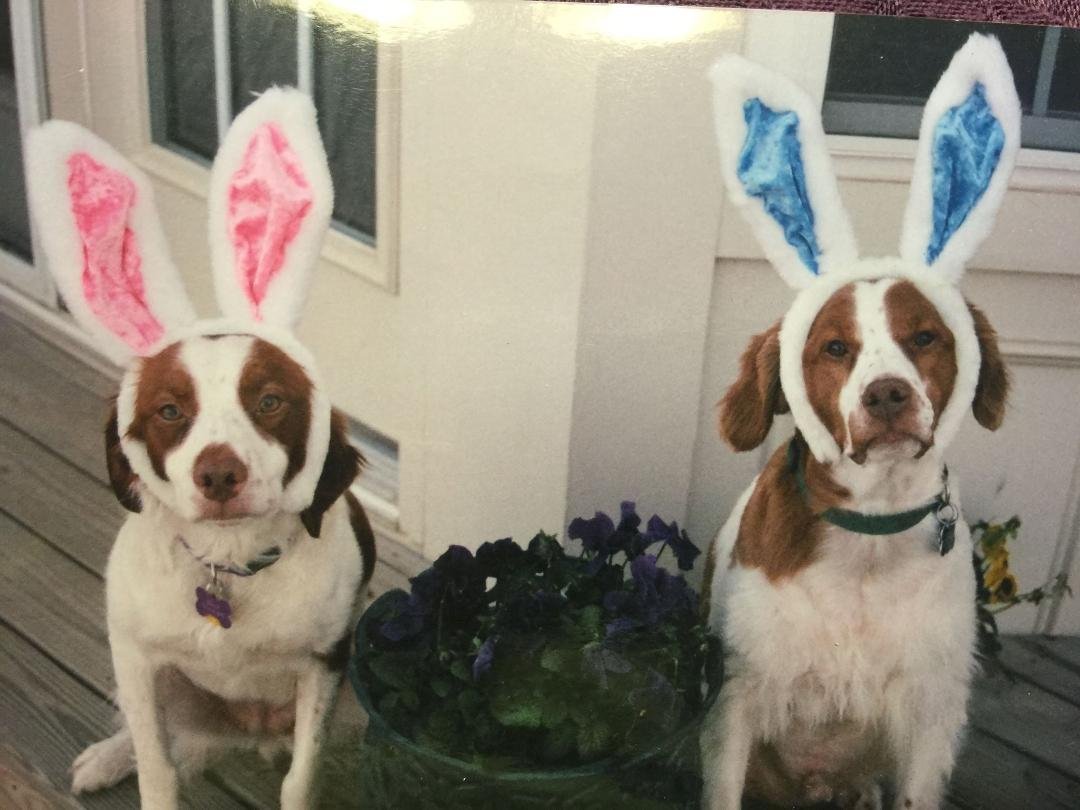 Happy Easter, FB friends, from Molly and Duncan!!!