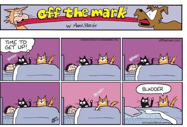 for all you cat lovers ...you know this all too well
