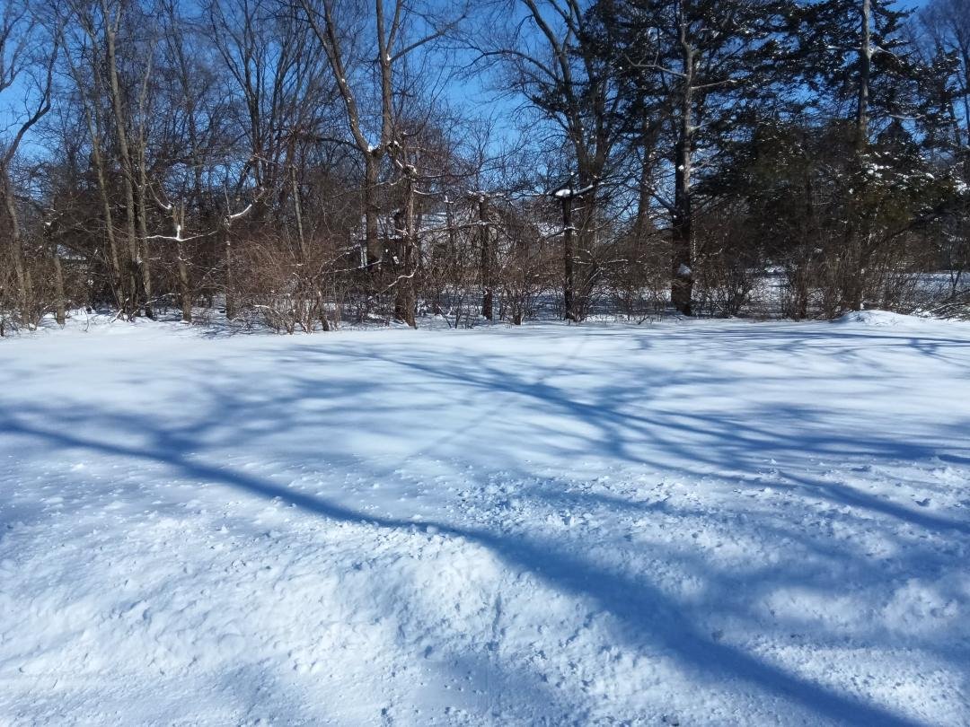 lots of snow here.