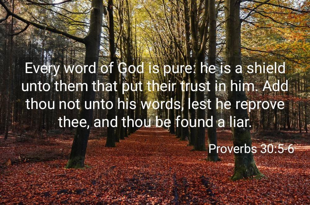 JAMES K GATES's album, Timeline photos