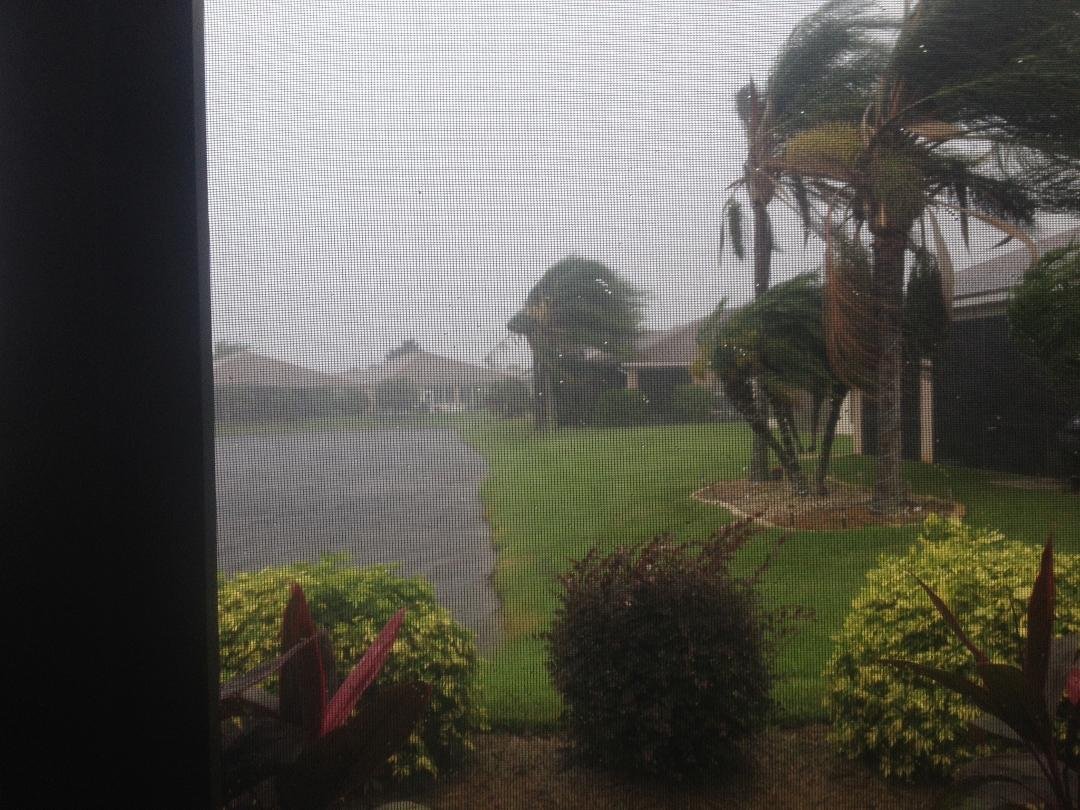 Quite a storm ripped through here last evening. The pond behind our house was rolling -- sunny and beautiful this morning